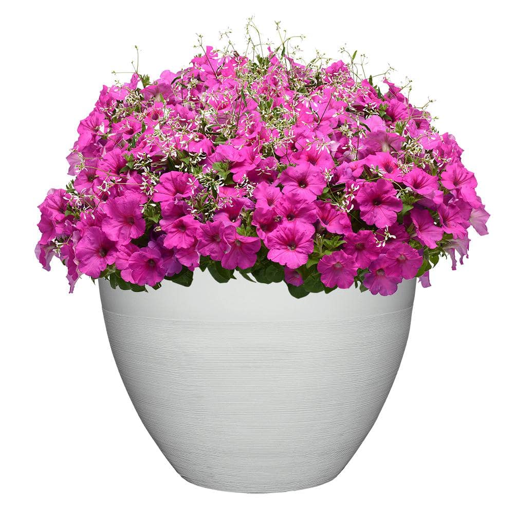 Decatur Large Starlight White Resin Round Planter