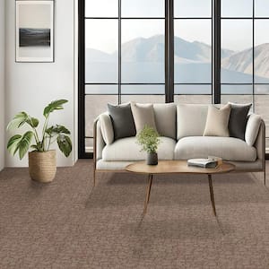 Painted Picture - Vivid-Brown 12 ft. 45 oz. Triexta PET Pattern Installed Carpet