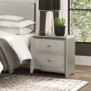 Alwin Champagne 2-Drawer 23.5 in. W Nightstand with Brushed Nickel Finish on Hardware