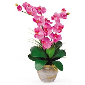 25 in. Artificial Double Phalaenopsis Silk Orchid Flower Arrangement in Dark Pink