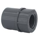 Charlotte Pipe 2 in. PVC Schedule 80 Female Adapter PVC 08101 2000HA ...