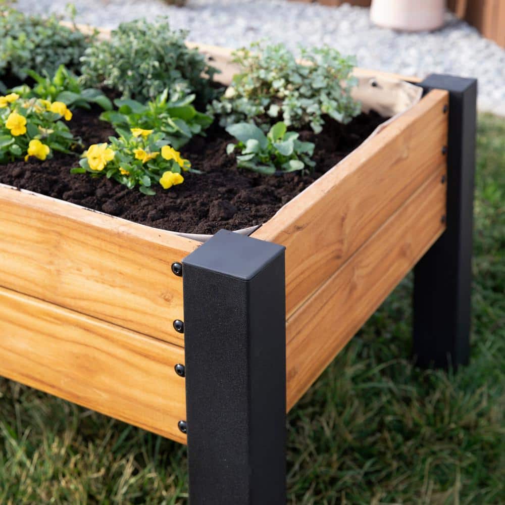 Backyard Raised Teak Planter with Black Steel Legs