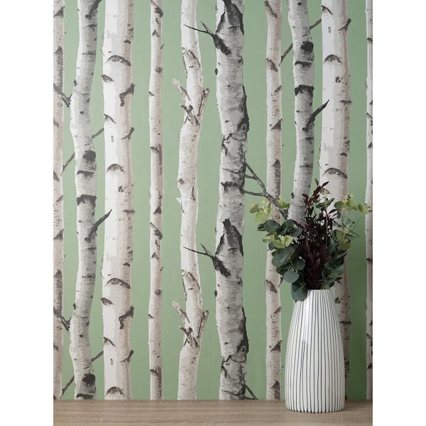 Chester Sage Birch Trees Matte Non-pasted Paper Wallpaper