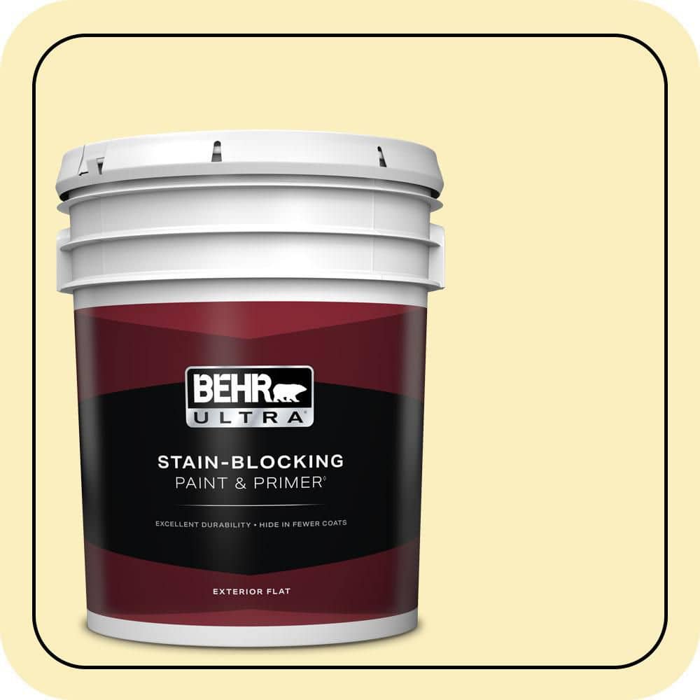 5 gal. #380C-3 Moon Dance Flat Exterior Paint & Primer price history on PriceWatchPro