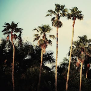 72 in. x 72 in. "Beverly Hills I" by Chelsea Victoria Wall Art