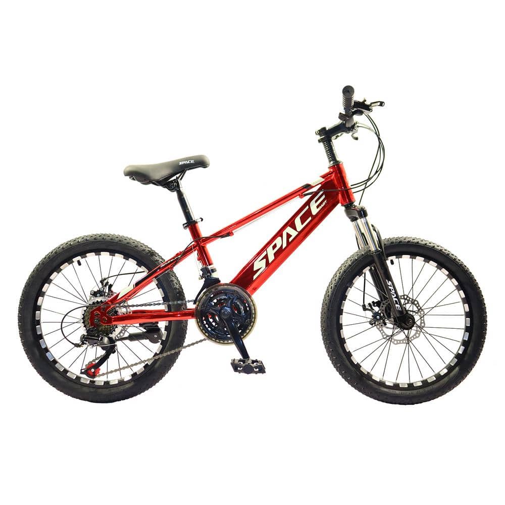 20 in. Aluminuml Steel Frame Mountain Bike for Kids