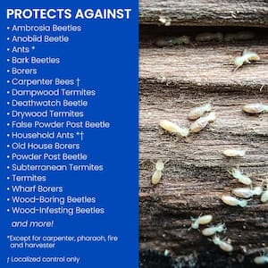 18 oz. Ready-to-Use Termite and Carpenter Bee Insect Killer Foam