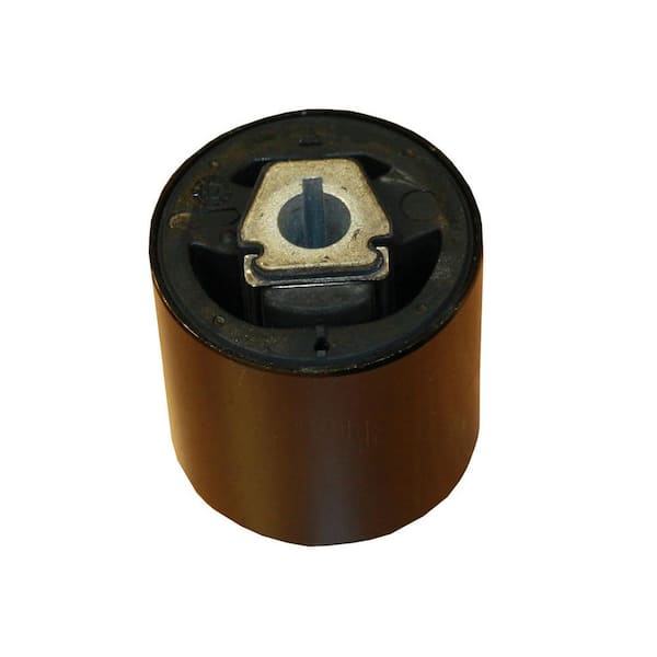 Rein Suspension Control Arm Bushing - Front Lower Inner Forward