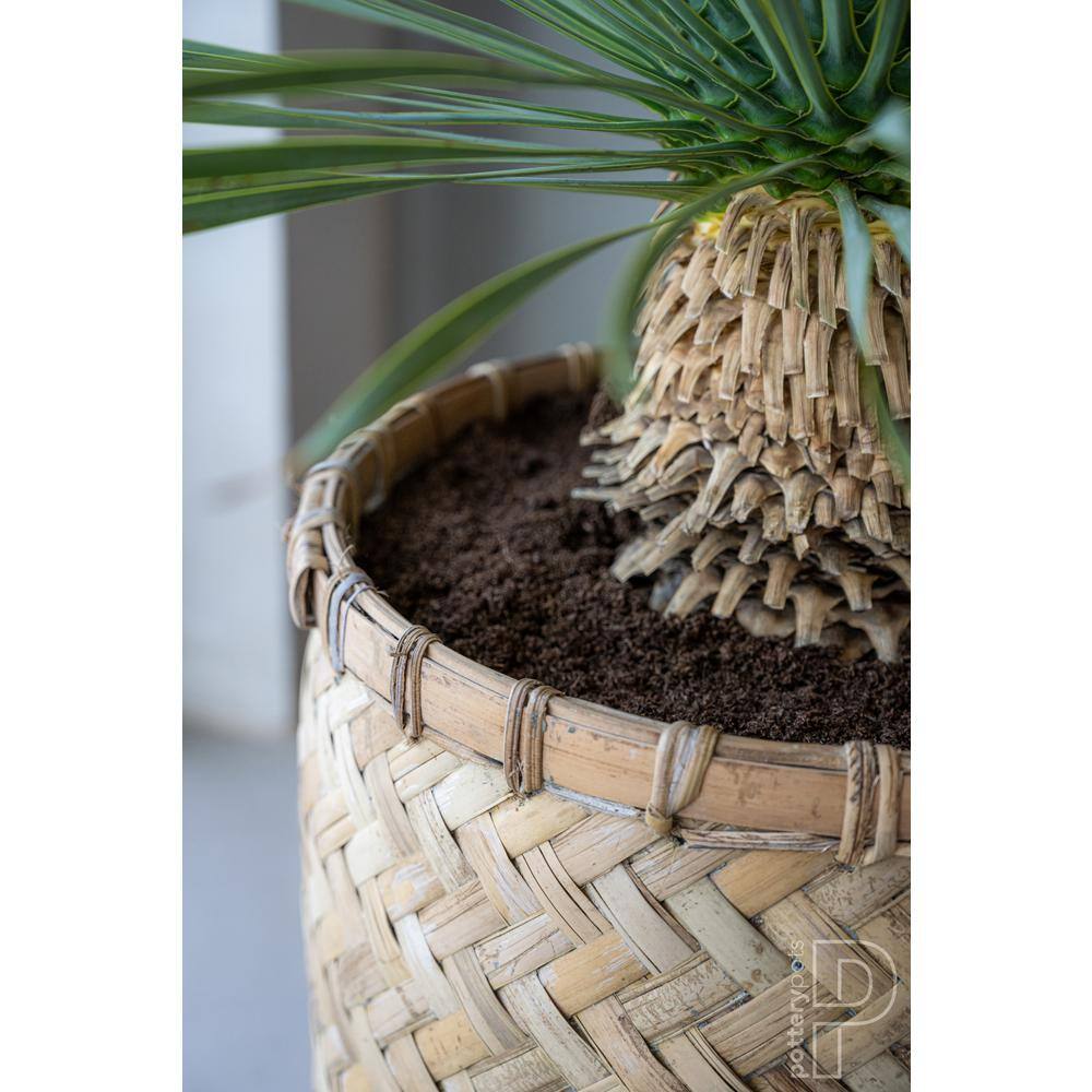 Natural Bamboo and Cement Round Indoor Outdoor Planter