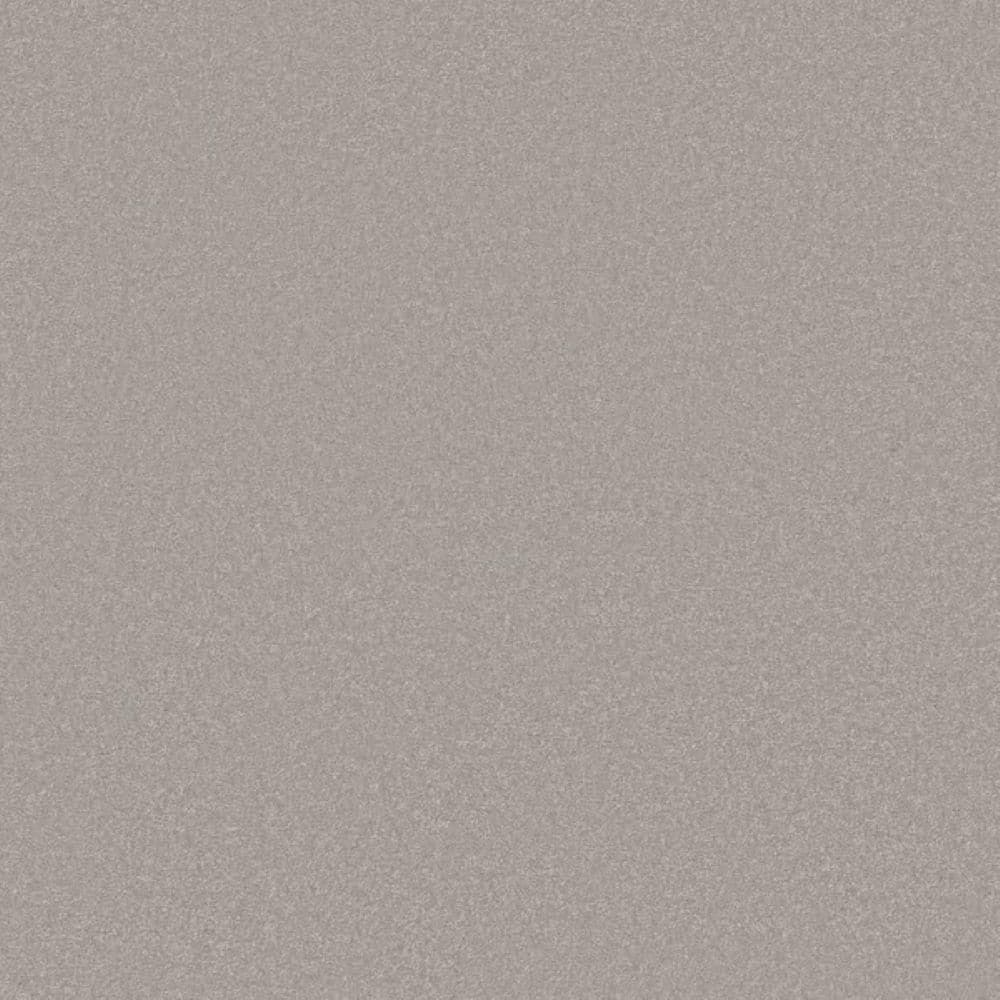 8 in. x 8 in. Texture Carpet Sample-Park Royal II-Color Storm Cloud price history on PriceWatchPro