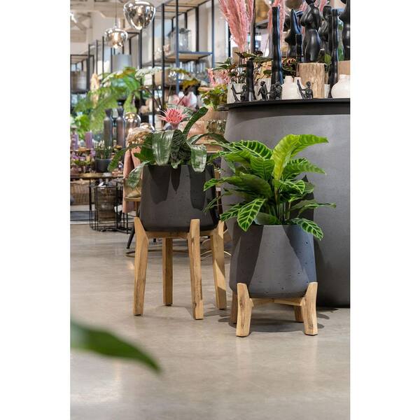 Patt Pot w/ Low Stand Black Washed XXL