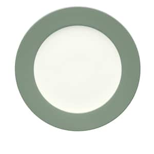 Colorwave Green Stoneware Rim Dinner Plate 11 in.