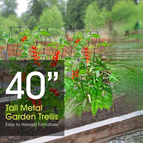 Unbranded 40.15 in. Metal A-Frame Green Garden Trellis for Climbing Plants,  Cucumber and Tomato Support (2-Pack) HY1028-7