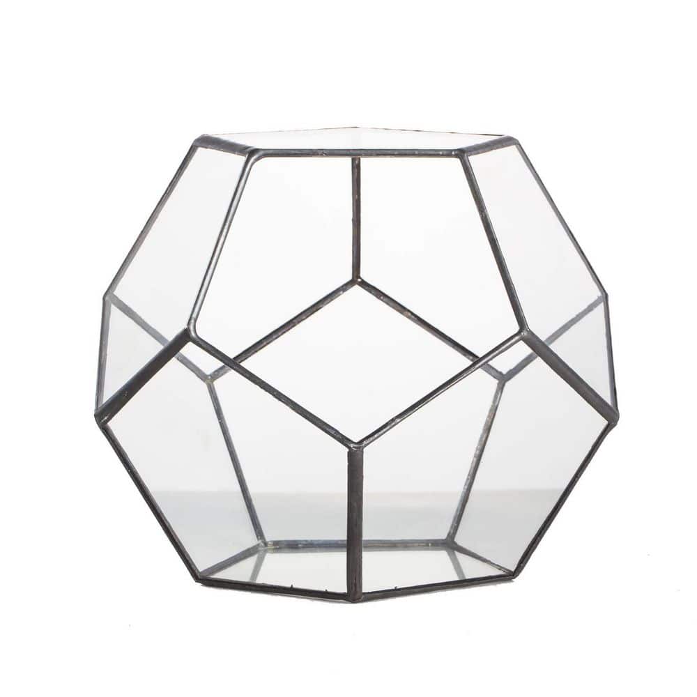 6.89 x 6.89 x 5.9 in. Black Glass Pentagonal Tabletop Open Terrarium Planter for Succulents, Air Plants price history on PriceWatchPro