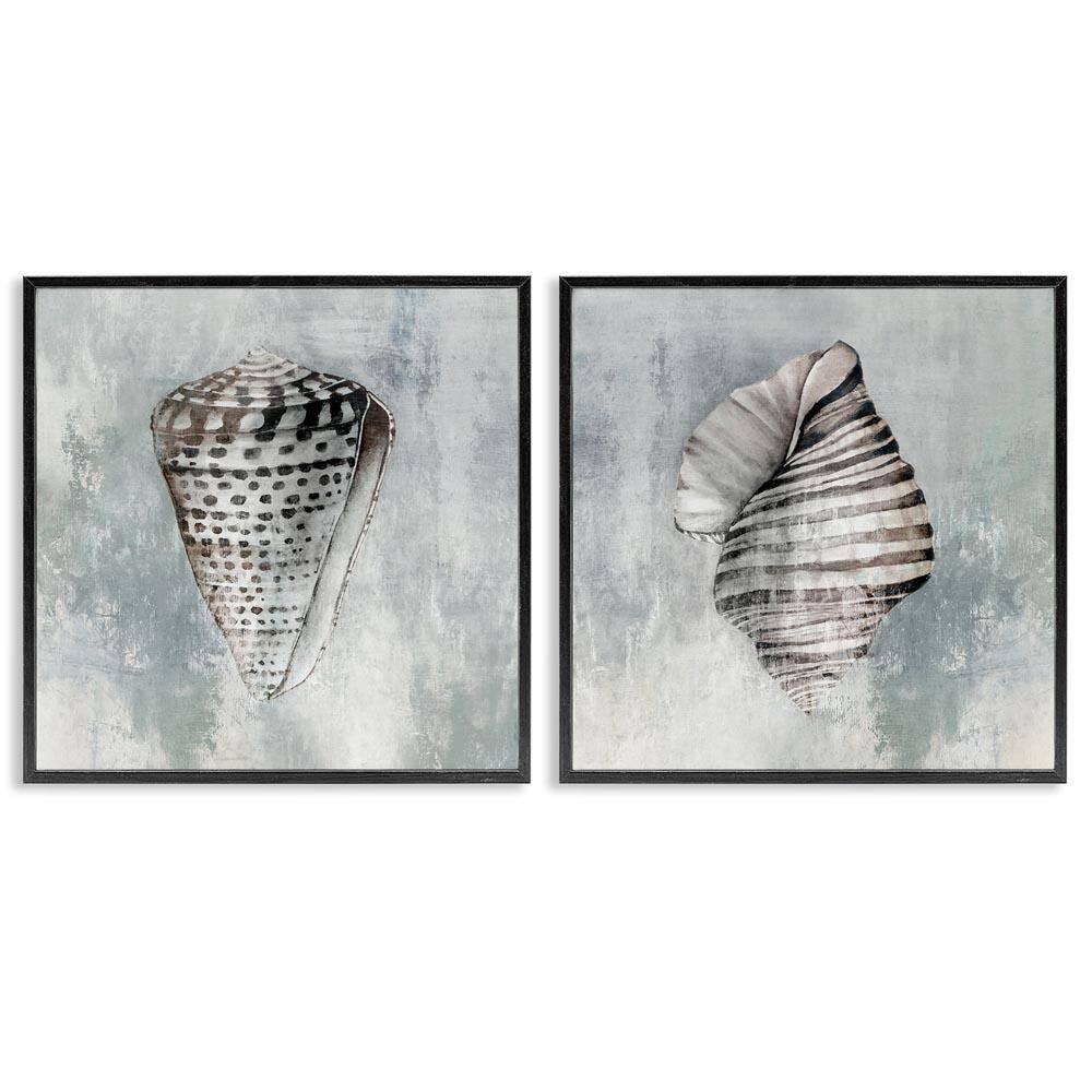 Grey Distressed Cowrie Shells by Eli Jones 2 Pieces Black Framed Coastal Giclee Art Print 12 in. x 12 in. price history on PriceWatchPro