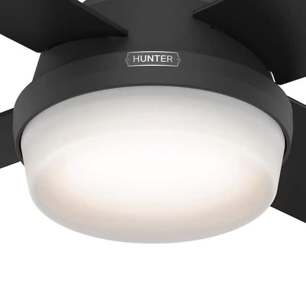 Hunter - Dempsey 44 in. Indoor Matte Black Ceiling Fan with Remote and Light Kit Included