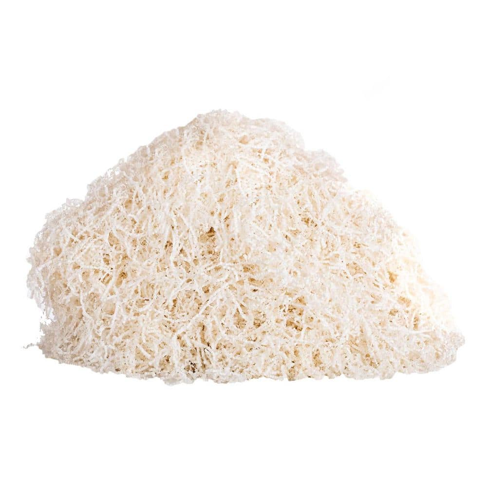 2.2 lb. White Shredded Paper Crinkle Basket Filler Eco-Friendly Cushioning for Gift Wrapping and Handmade Decorations price history on PriceWatchPro