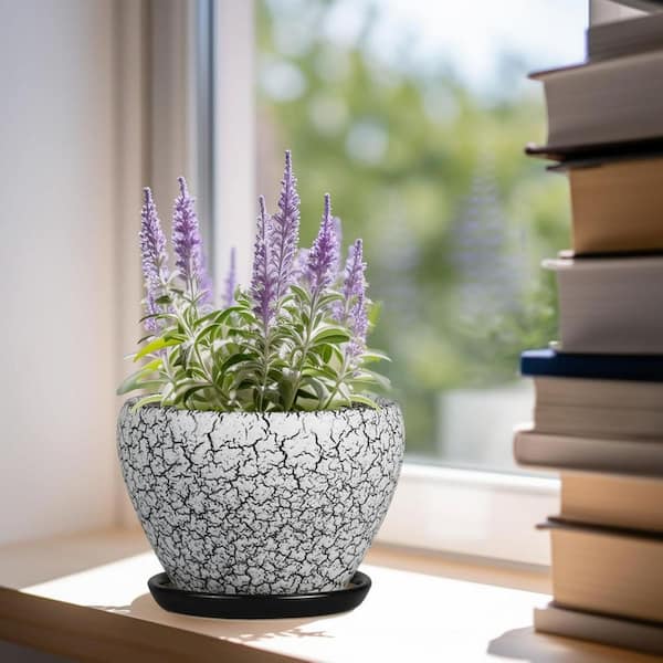 Unbranded White and Black Ceramic Indoor/Outdoor Planter with Saucer (6.3  in. W x 4.4 in. H) L0D9M7VHLK