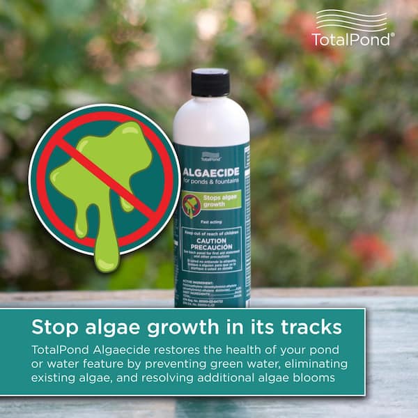 16 oz. Algaecide for Ponds and Fountains