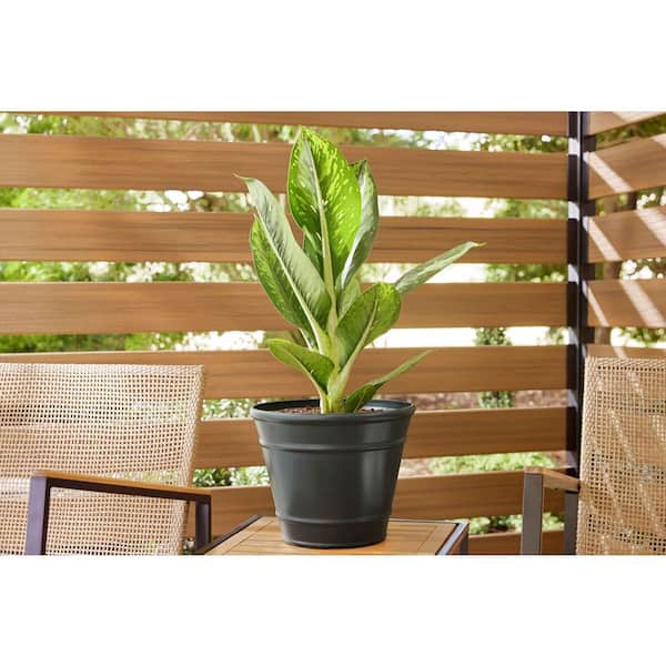 Jane Medium Black Plastic Round Planter with Drainage Plug (11.85 in. L x 11.85 in. W x 9.49 in. H)