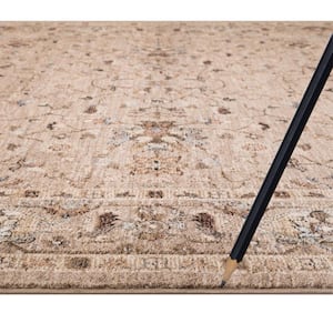 Cashmere Taupe 7 ft. x 9 ft. Traditional Area Rug