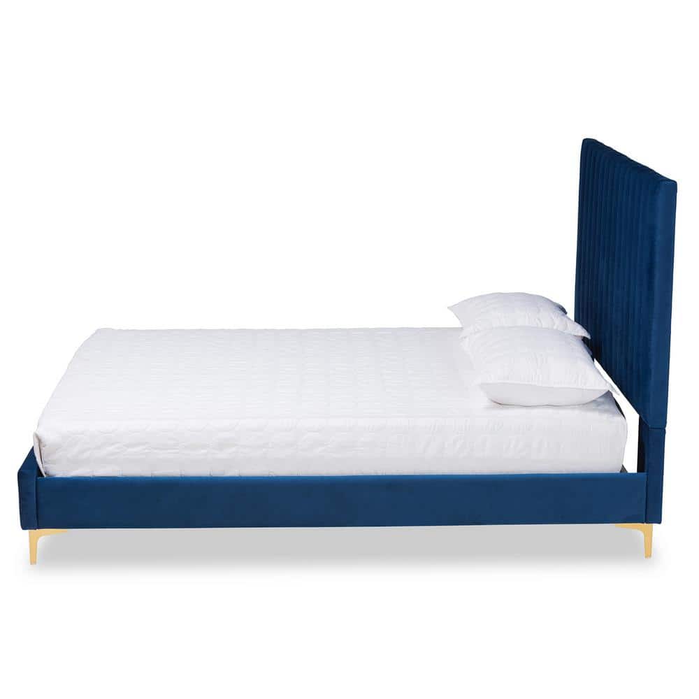 Luxurious Navy Blue Velvet Full/Double Platform Bed with Gold Metal Legs