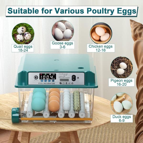 KIWDZFU 12-16 Egg Incubator Automatic Egg Turning Humidification