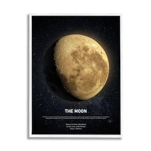 "Earth's Moon Celestial Facts Outer Space Infographic" by Design Fabrikken Framed Astronomy Wall Art Print 24 in x 30 in