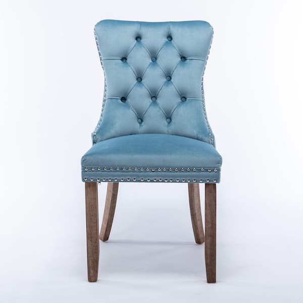 Z-joyee Light Blue Velvet Nailhead Trim Parsons Chairs (Set of 2)