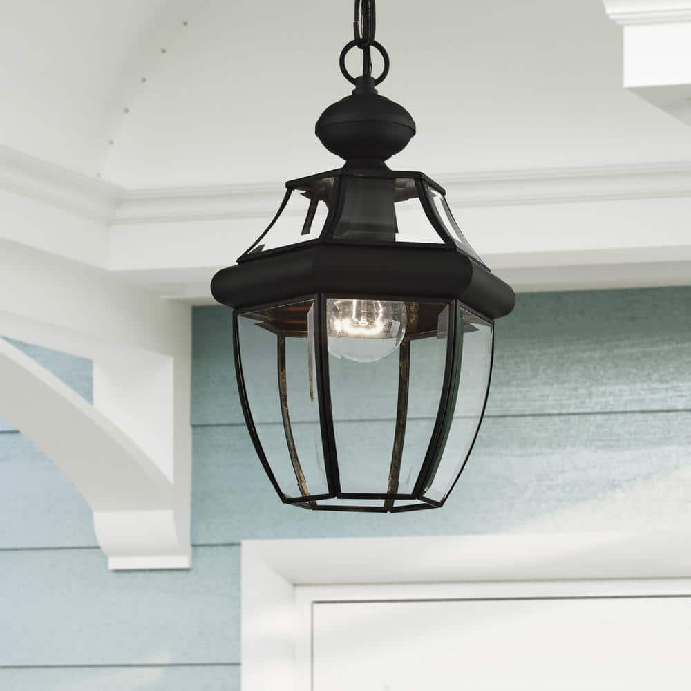 Black Glass 1-Light Indoor/Outdoor Pendant Lantern