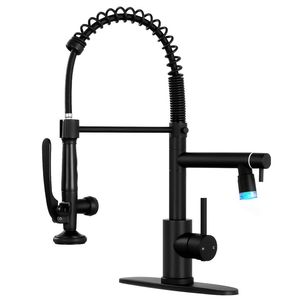 Single Handle Pull Down Sprayer Kitchen Faucet with Advanced Spray, Commerc