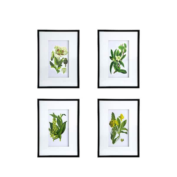 Unbranded Set of 4 Plastic Framed Home Botanical Flower Wall Art Prints, Home Decor Art for Living Room Entryway 20 in. x 28 in