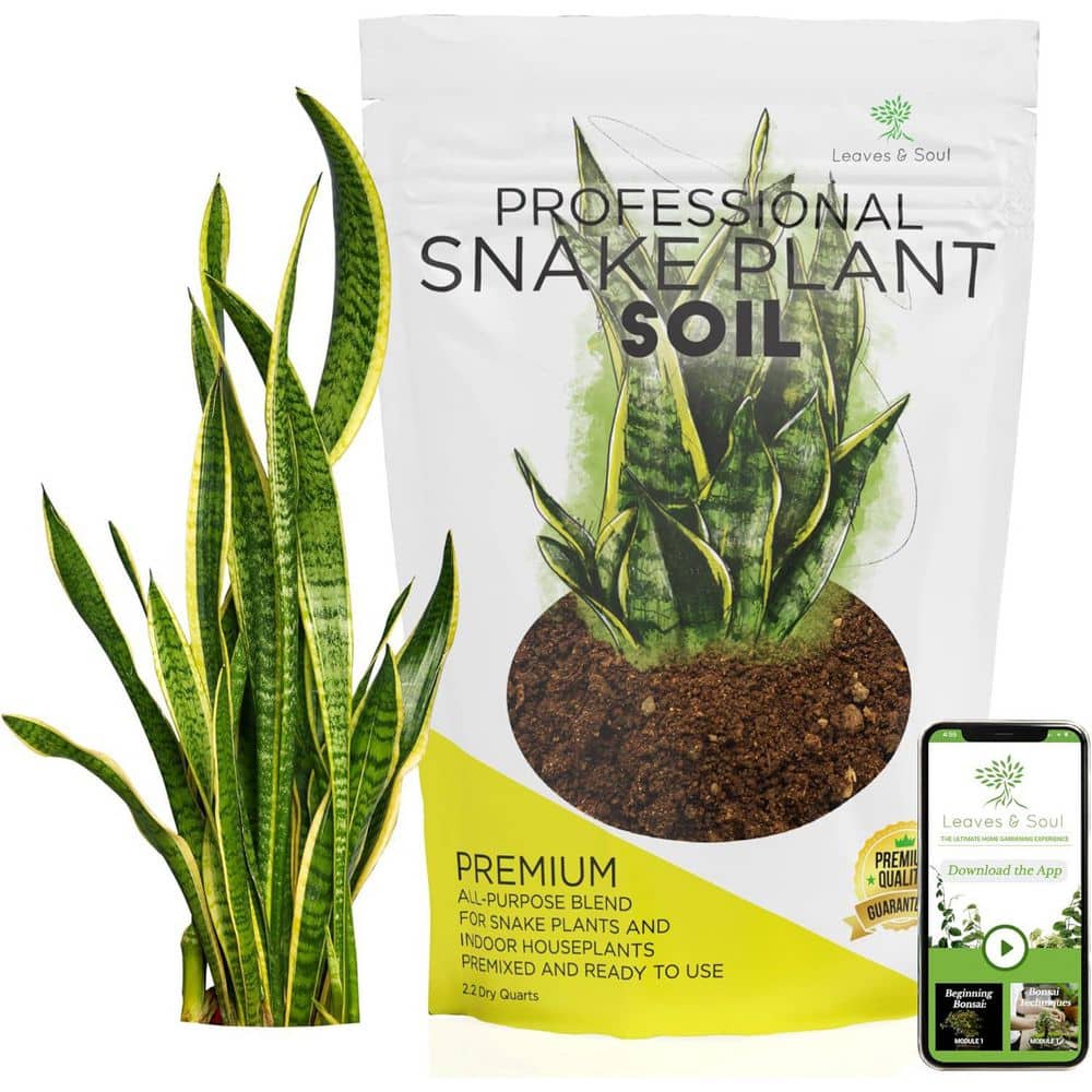 LEAVES AND SOUL Professional Snake Plant Soil, 2.2 qt., Ready to Use, Peat  Moss, Coco Coir, Perlite, Dolomite, B0C5N596H9 - The Home Depot