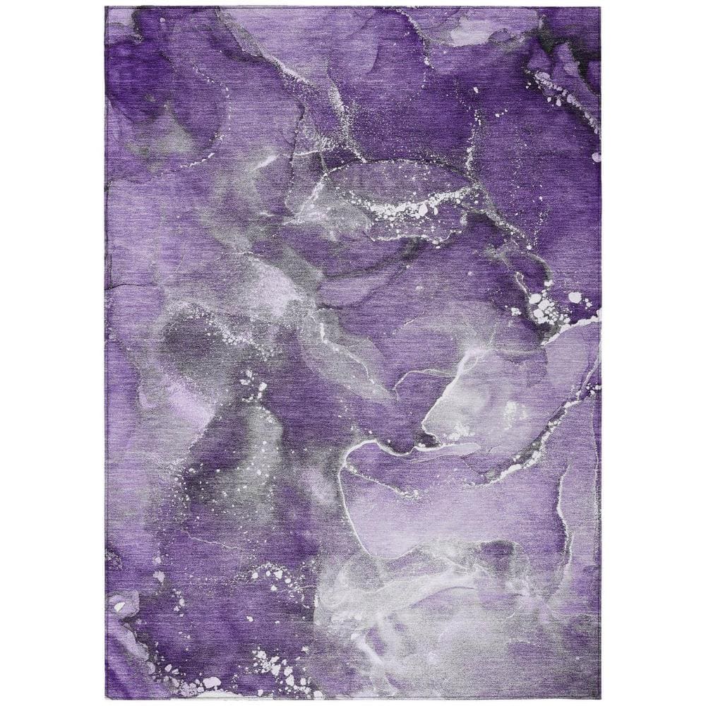 Gray and Purple 3 ft. x 5 ft. Woven Abstract Polyester Rectangle Indoor/Outdoor Area Rug price history on PriceWatchPro