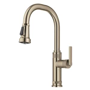 Allyn Industrial Pull-Down Single Handle Kitchen Faucet in Spot-Free Antique Champagne Bronze