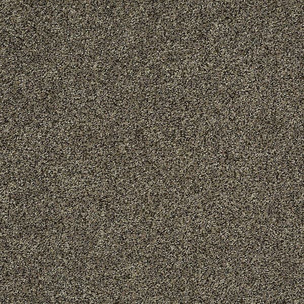 Home Decorators Collection Carpet Sample - Slingshot II - In Color Oxford 8 in. x 8 in.