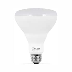 65-Watt Equivalent BR30 Dimmable CEC Compliant ENERGY STAR 90+ CRI E26 Flood LED Light Bulb, Soft White 2700K (54-Pack)