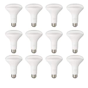 65-Watt Equivalent BR30 Dimmable Flood LED Light Bulb Soft White (12-Pack)