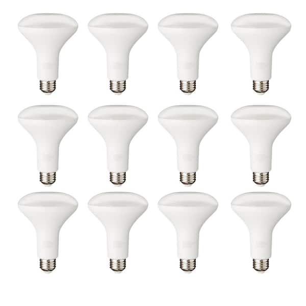 zijn Smerig cowboy PRIVATE BRAND UNBRANDED 65-Watt Equivalent BR30 Dimmable Flood LED Light  Bulb Soft White (12-Pack) A20BR3065WULD12 - The Home Depot
