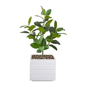 Real touch 60 in. fake Rubber tree in a fiberstone planter