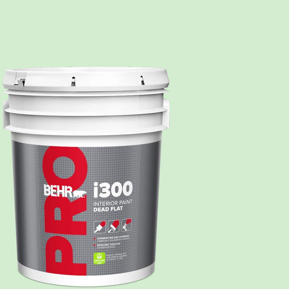 5 gal. #450A-2 Kiwi Squeeze Dead Flat Interior Paint price history on PriceWatchPro