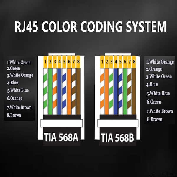 Lot De 20 Fiches Réseau CAT 6 RJ45 PremiumX - Installation Facile Sans