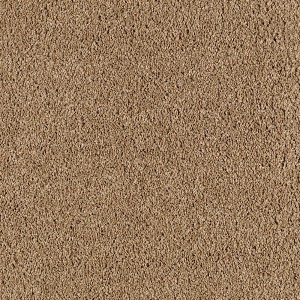 8 in. x 8 in. Texture Carpet Sample - Ambrosina I -Color Montebello price history on PriceWatchPro