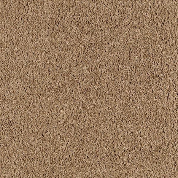 Lifeproof 8 in. x 8 in. Texture Carpet Sample - Ambrosina I -Color Montebello