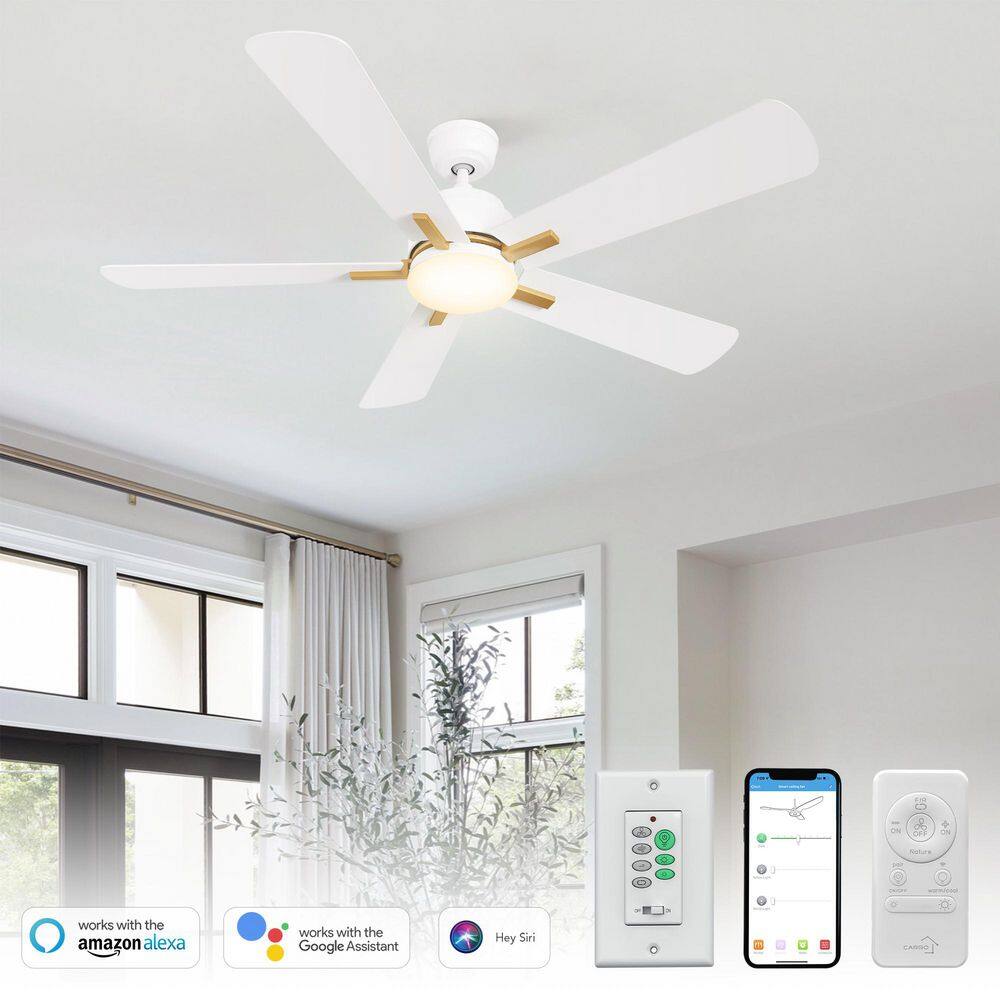 52 in. Indoor/Outdoor White Downrod LED Smart Ceiling Fan with Remote Control and Wall Control, 10-Speed DC Motor price history on PriceWatchPro
