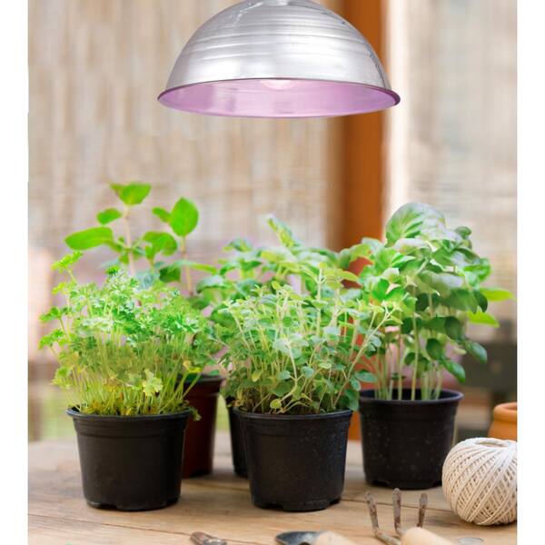New 6W E27 60 LED Plant Grow Light Bulb Lamp for Garden Flowering 