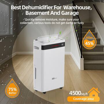 Edendirect 60 pt. 4500 sq. ft. Portable Dehumidifier for Basement in White, with Drain Hose, 6L Bucket, Continuous Run, Child Lock ED-FDD25-5293
