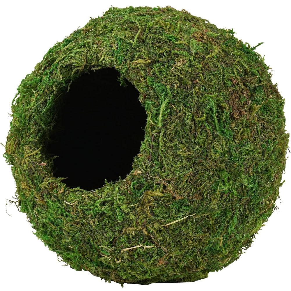 Oyezvary 6 in. Artificial Green Moss Round Cave Habitat for Pet Reptiles, Frogs and Snakes