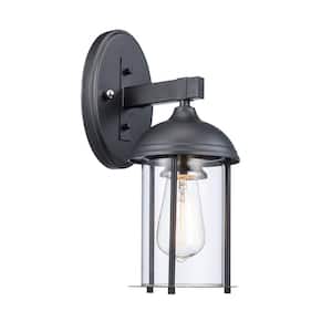 Blues 13.5 in. 1-Light Black and Brushed Nickel Outdoor Wall Light Fixture with Clear Glass