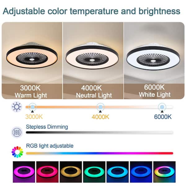 Shinevoy 20 in. Modern Black and White Smart Fan Light